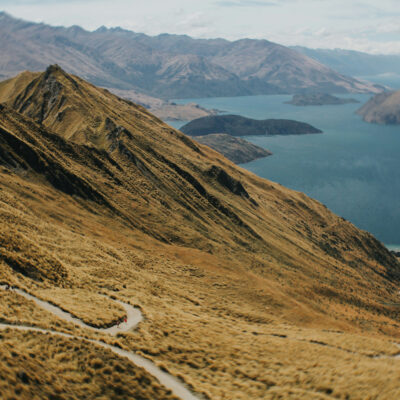 How Interest Rates Impact NZ Property