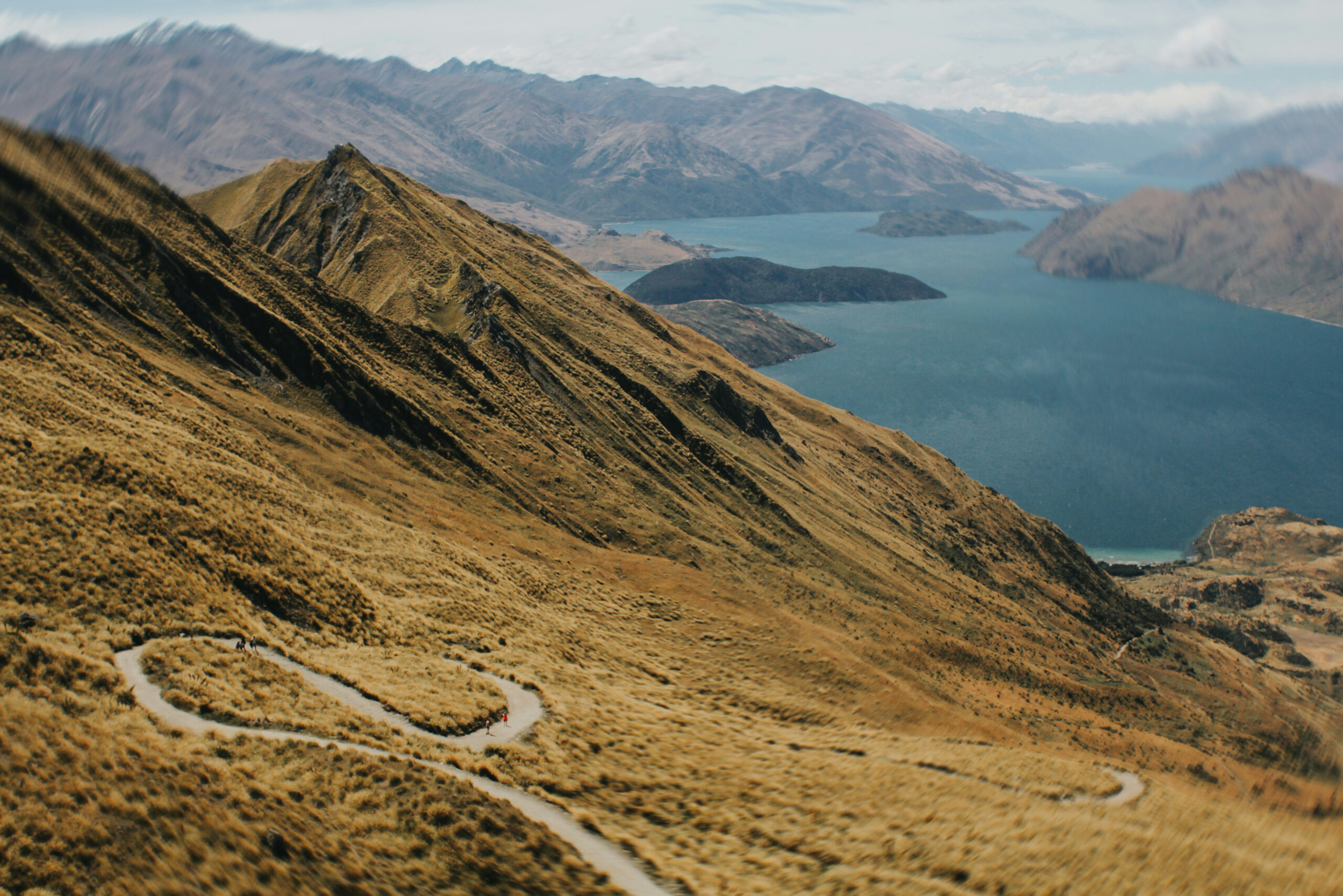 How Interest Rates Impact NZ Property