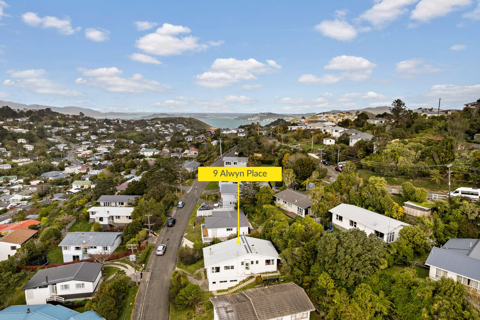 9 Alwyn Place, Newlands - Ben Cartwright and the team