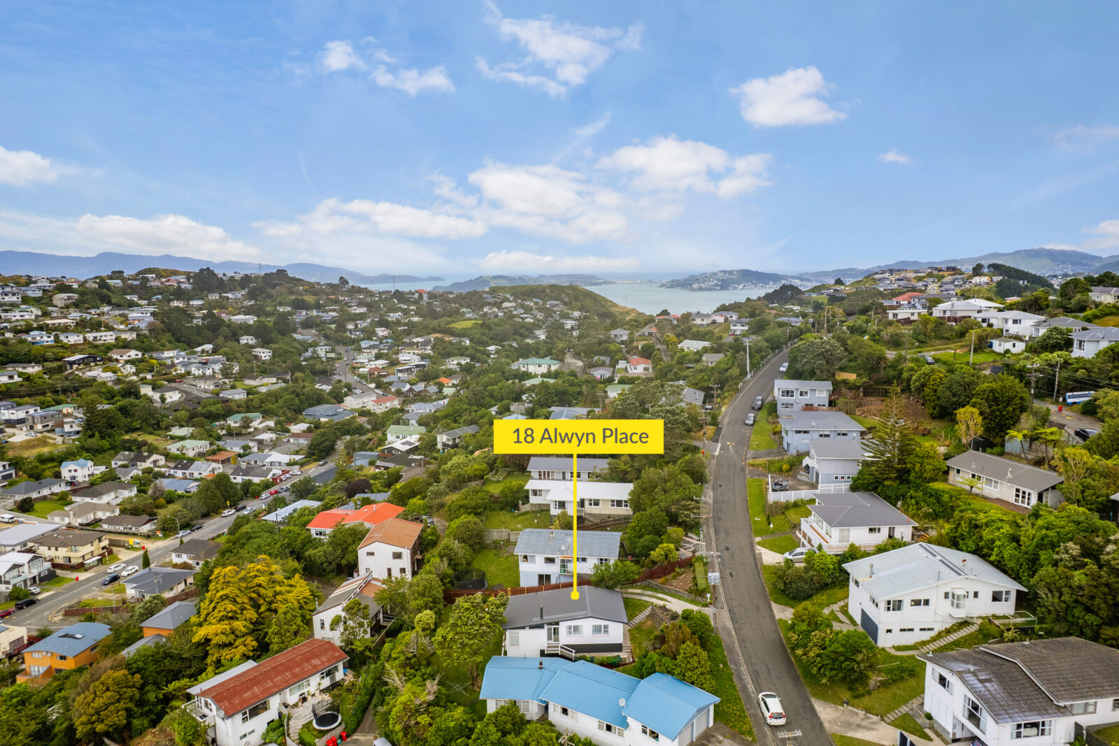 18 Alwyn Place, Newlands