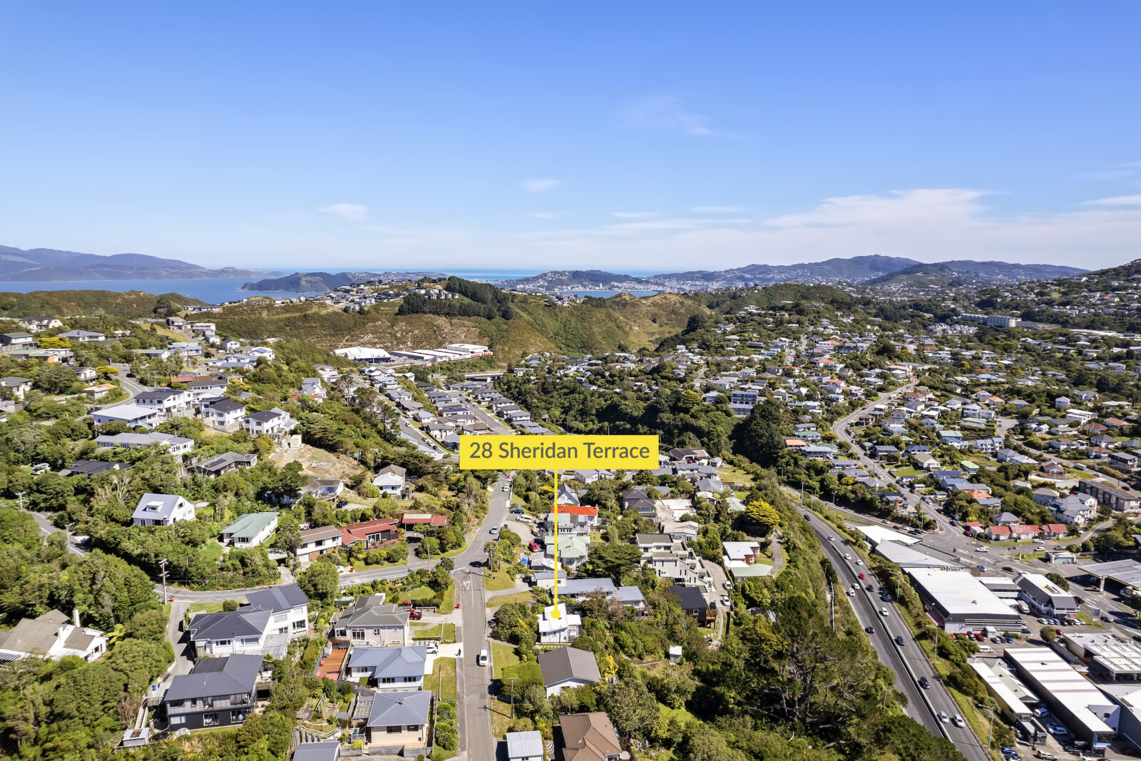 28 Sheridan Terrace, Johnsonville Ben Cartwright and the team