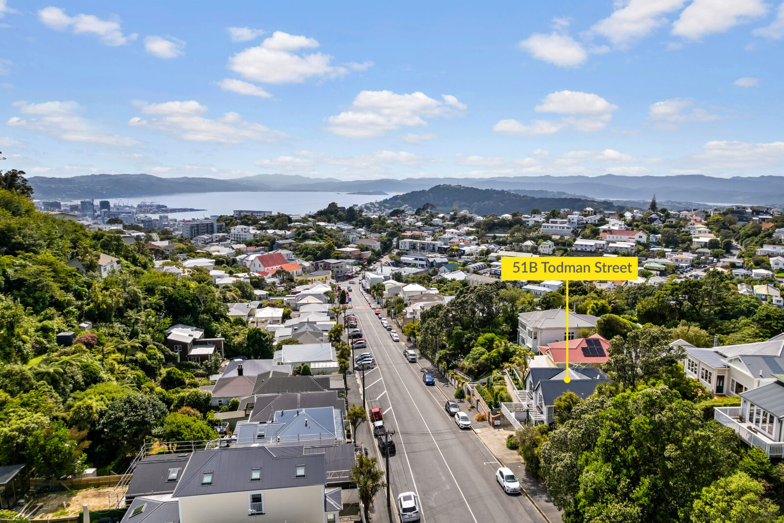 51B Todman Street, Brooklyn, Ben Cartwright and the team