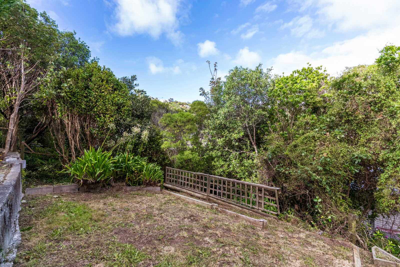5 Pauline Way, Paparangi Ben Cartwright and the team