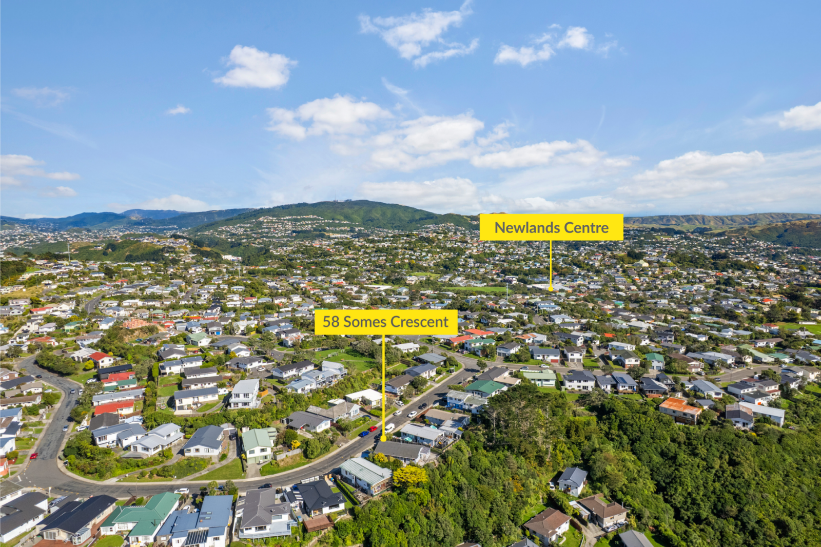 58 Somes Crescent, Newlands