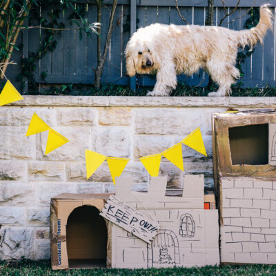 Living Through a Renovation: Autumn Remodel Survival Guide NZ