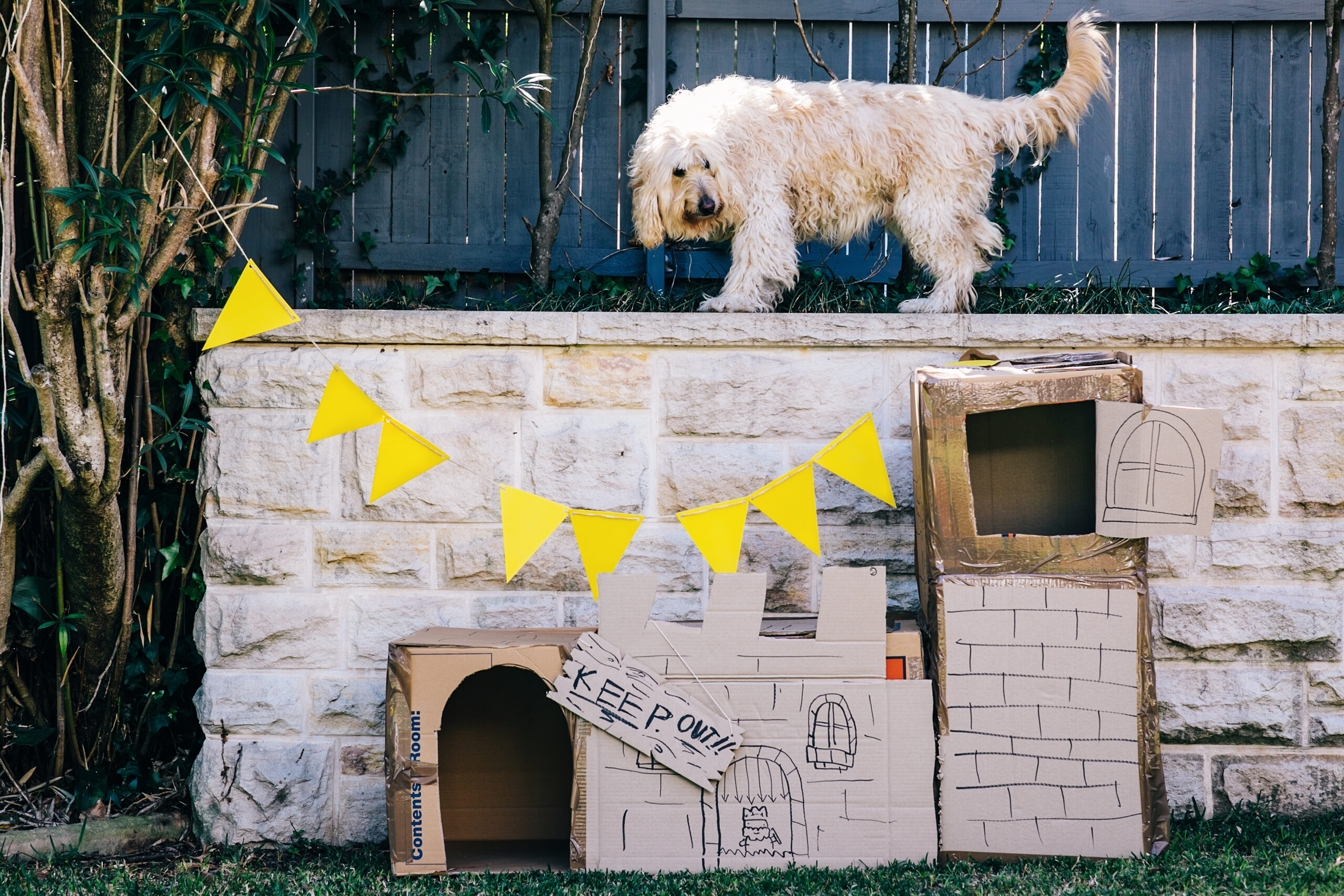 Living Through a Renovation: Autumn Remodel Survival Guide NZ