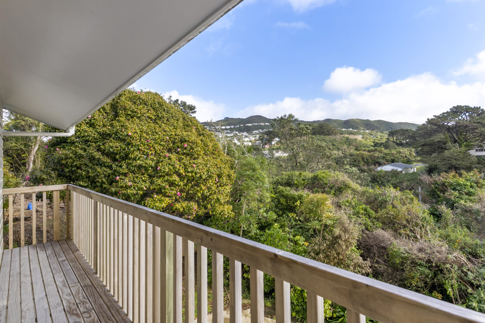 109B Fraser Avenue, Johnsonville